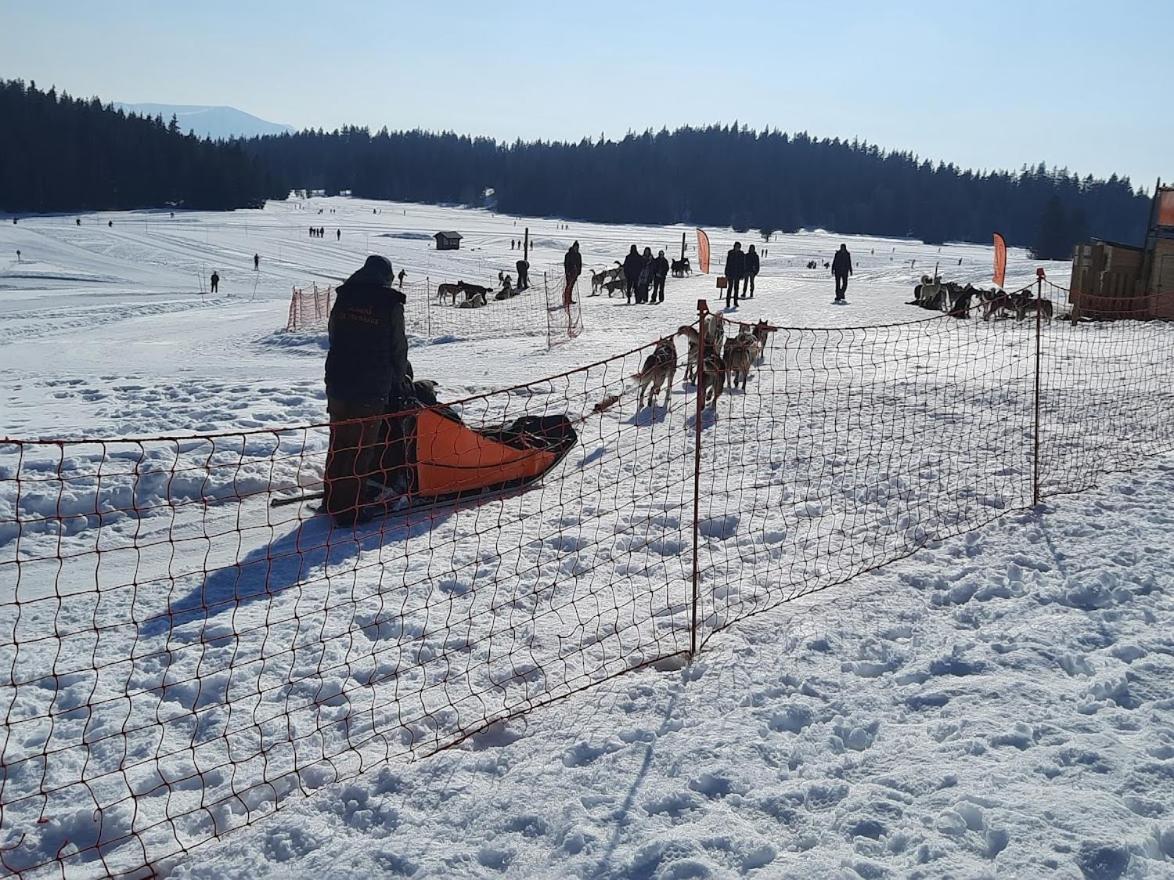 La Petite Foret Chamrousse 1700 Екстер'єр фото