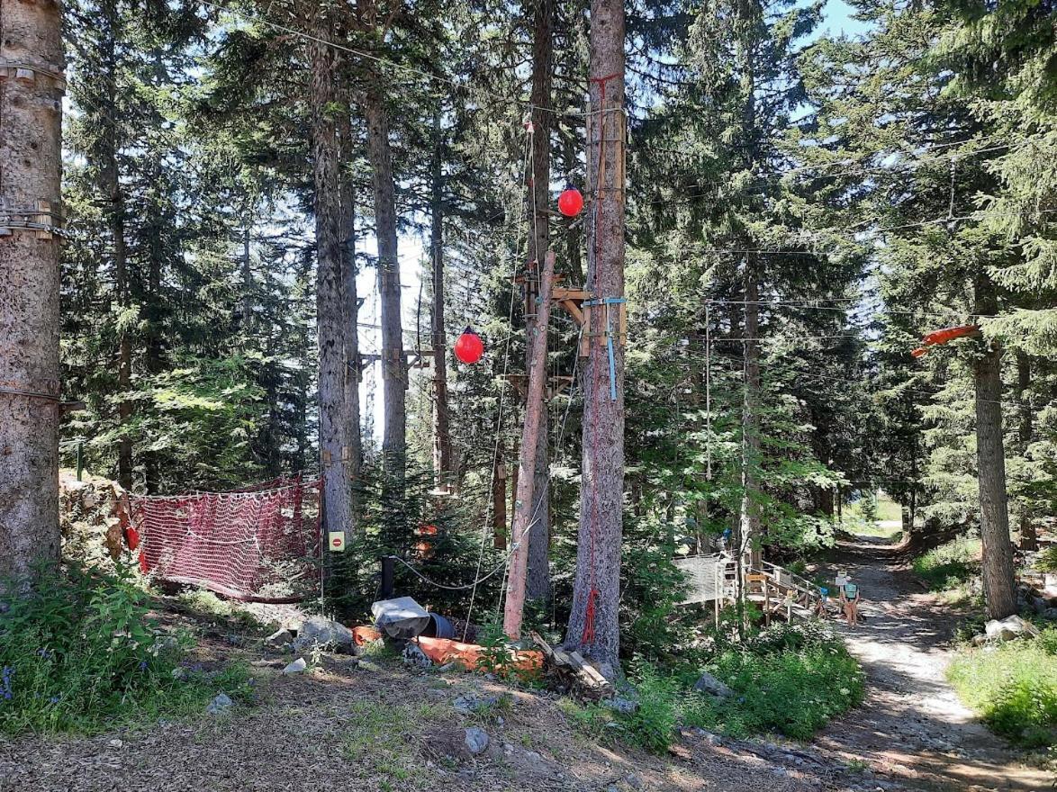 La Petite Foret Chamrousse 1700 Екстер'єр фото