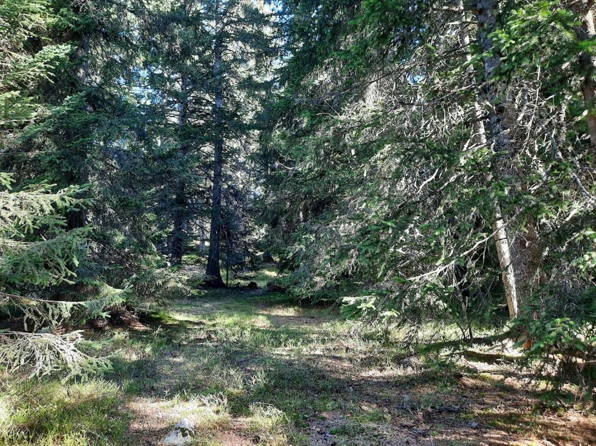La Petite Foret Chamrousse 1700 Екстер'єр фото