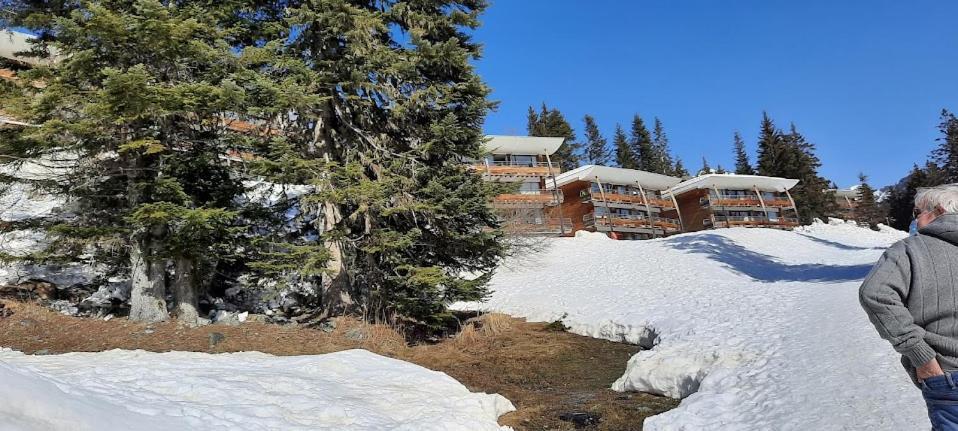 La Petite Foret Chamrousse 1700 Екстер'єр фото