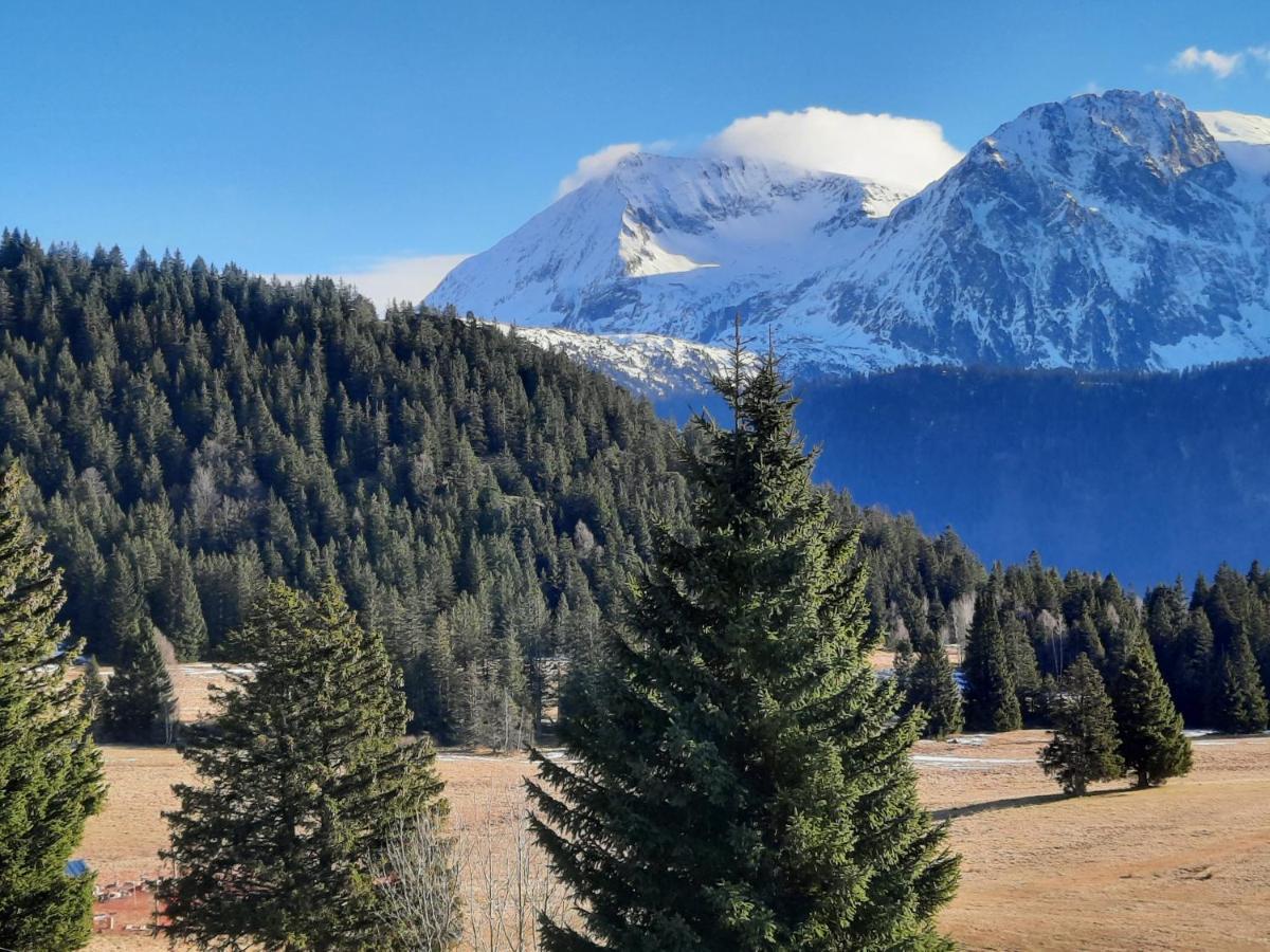 La Petite Foret Chamrousse 1700 Екстер'єр фото