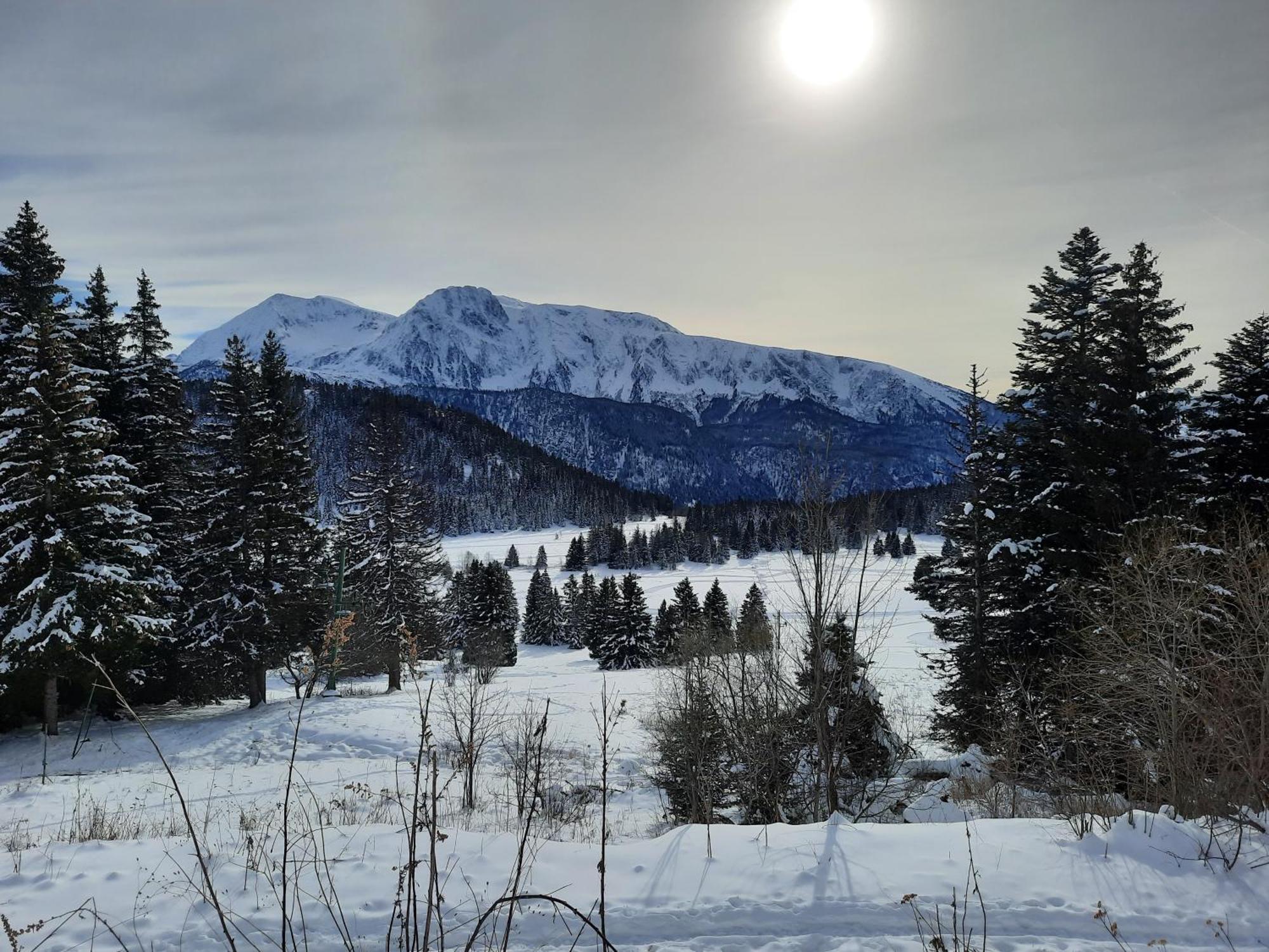 La Petite Foret Chamrousse 1700 Екстер'єр фото