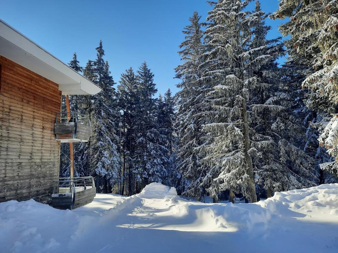 La Petite Foret Chamrousse 1700 Екстер'єр фото